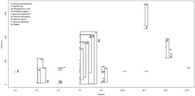 Genetic Diversity of the Ralstonia solanacearum Species Complex in the Southwest Indian Ocean Islands